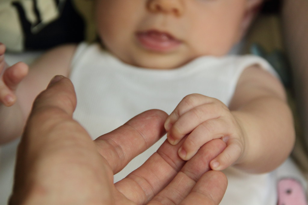 Baby holding an adult hand